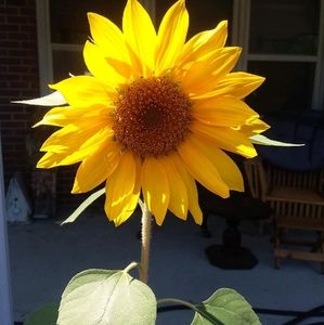 Meet your Posher, Fayth